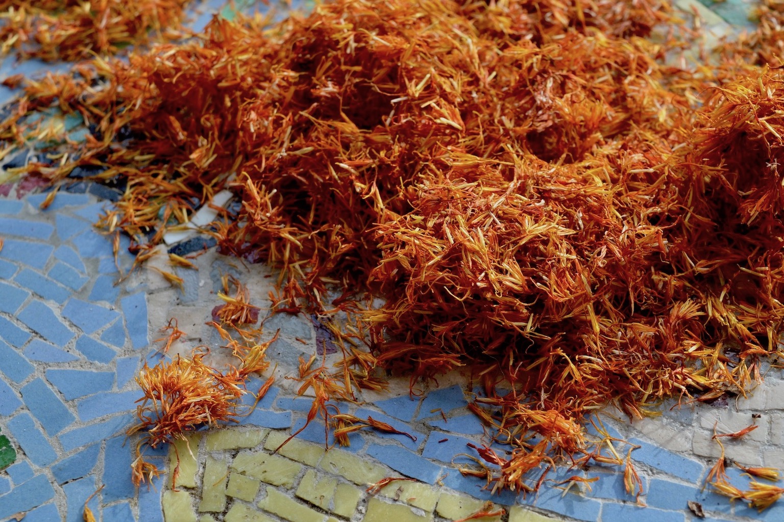 Red safflower dye clothes Islam